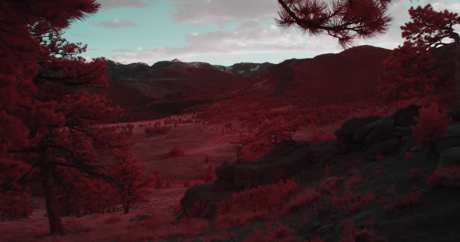 A beautiful landscape with lush red trees with mountains in the background with the sunset