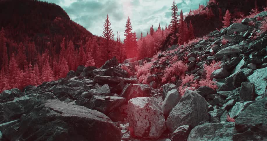 The trees and grass on the mountains are red