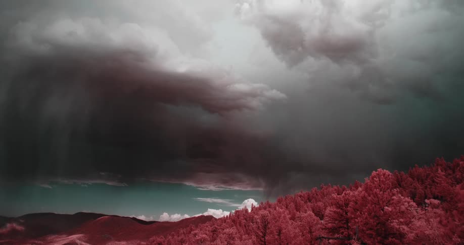 Dark storm clouds move slowly over red tinted leaves on windy day