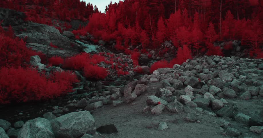 Colored filter red tinted conifer forest contrasts with grayish rocks on mountains