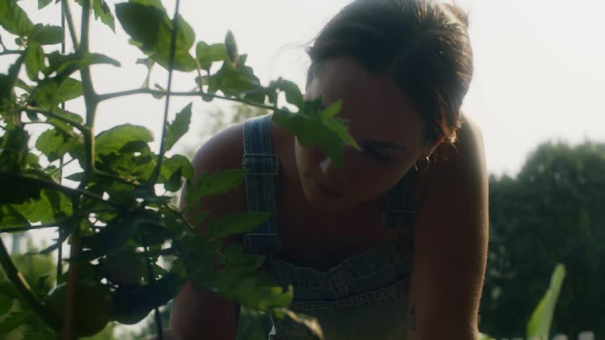 Female gardener leans over examining plant