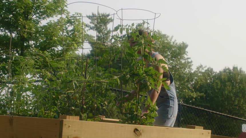 A young woman checking her crops