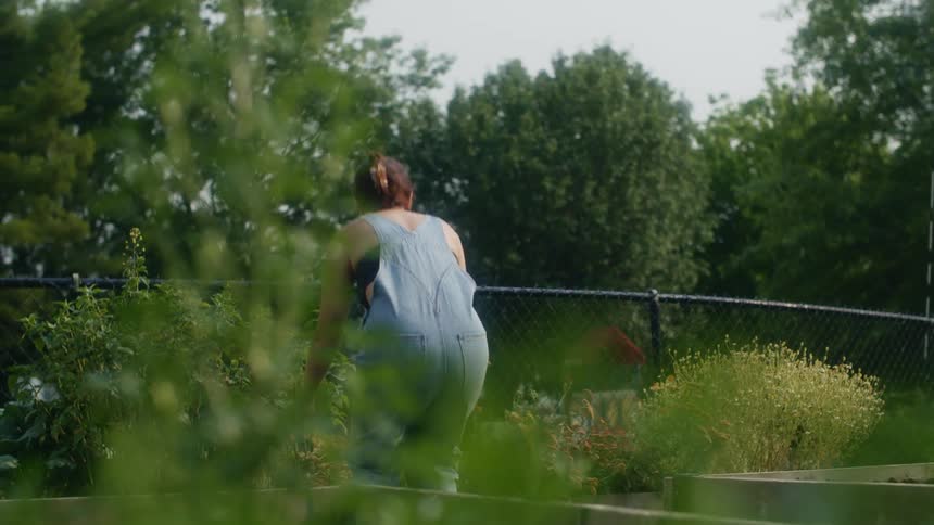 Woman walks between raised garden beds to crouch near garden bed near fence