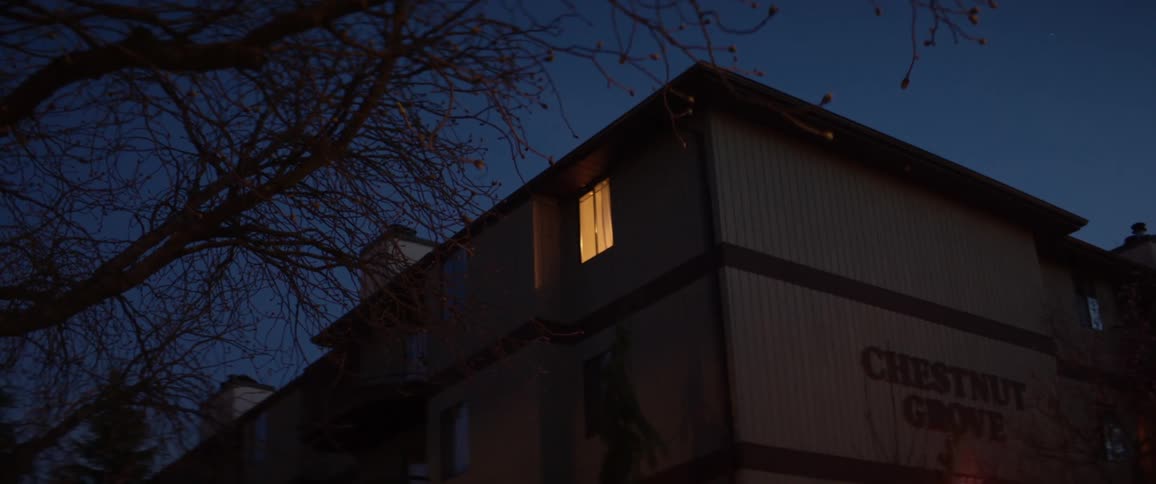 The facade of a building under a deep blue night time sky