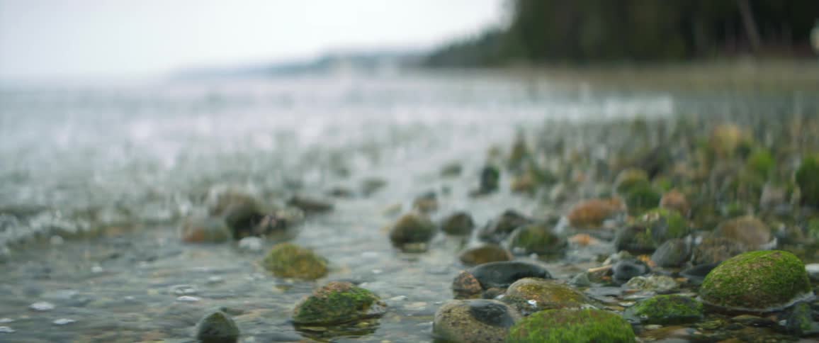Ocean waves flow over green mossy rocks on a beach in the daytime