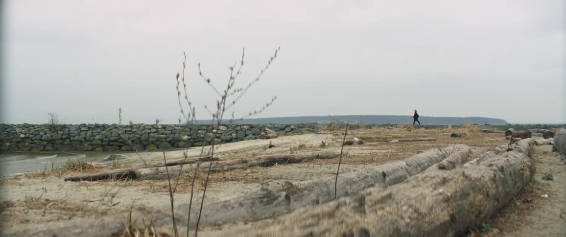 A person walking across a field by the shore