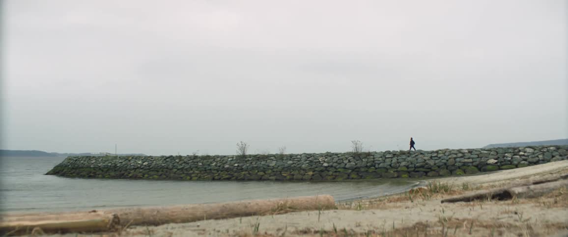 Person walks along breakwater near beach with washed up logs