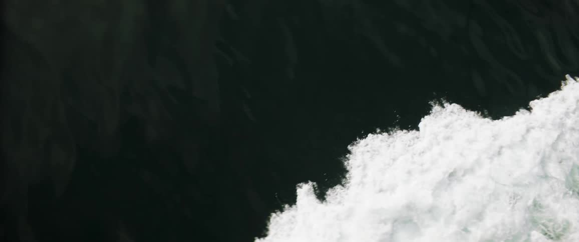 A large white waves makes it way across the ocean