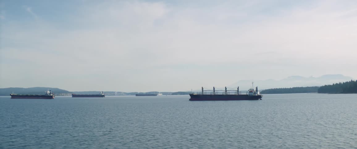 Aerial view of a fleet of cargo ships near the coast