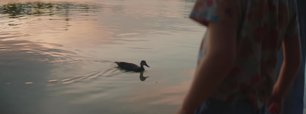 A duck swims across a pond at dusk watched by a young girl on the shore