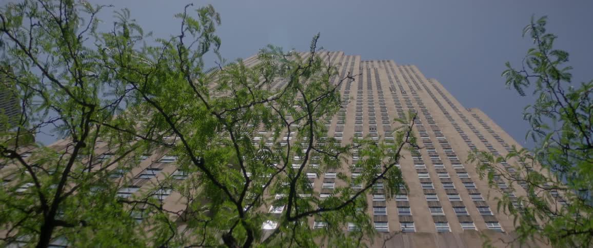 New York City Scenics
