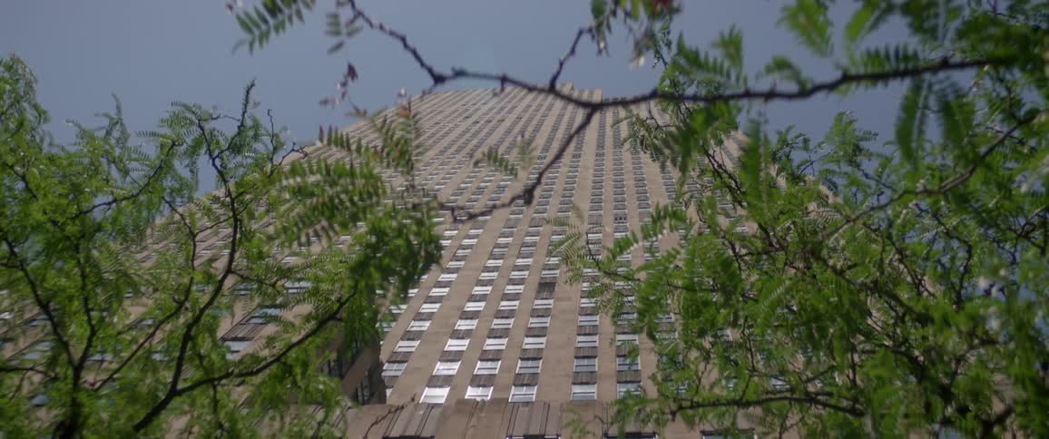 New York City Scenics