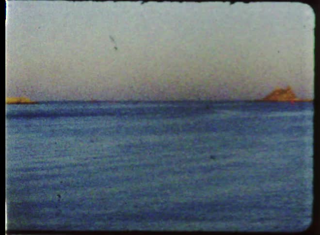 Birds fly over the water on the beach