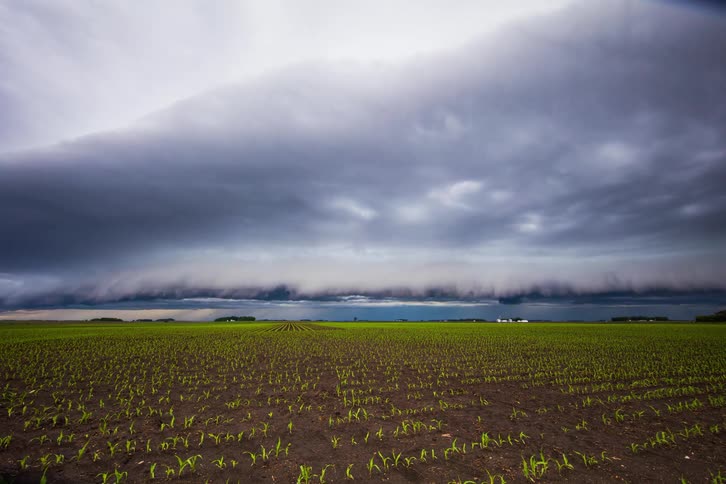 Clods billowing over field time lapse