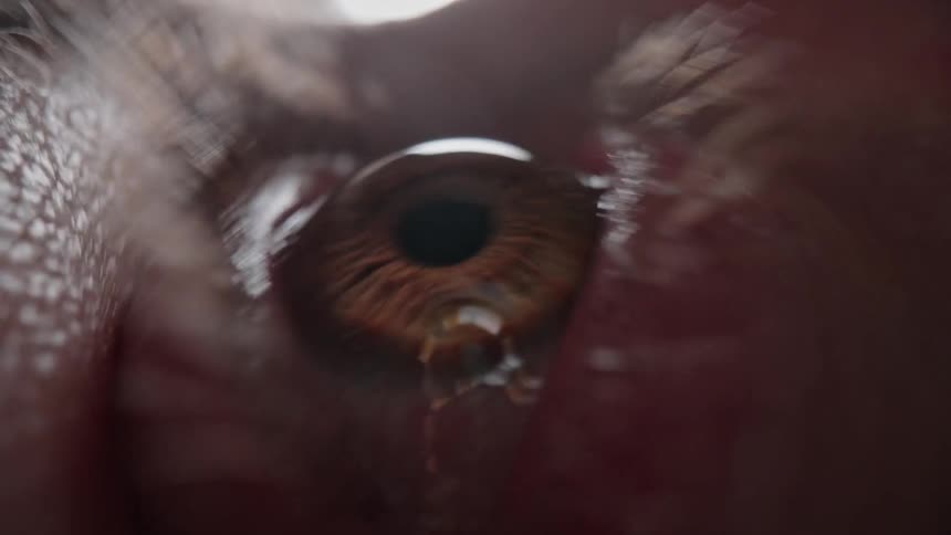 Eye opens and the eyeball shifts as the person looks around