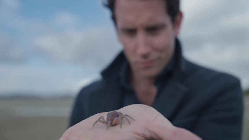 Man holds a spider on his open palm under a blue sky