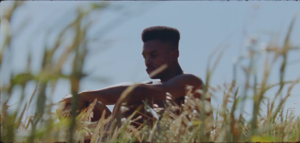 Man sits in field of tall plants on windy day