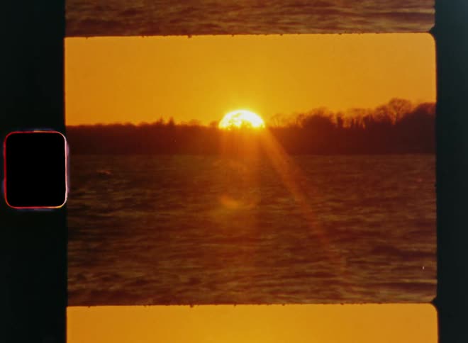 The giant sun is rising or setting behind trees and over the water at the coastline or shore of a large lake or the ocean colouring the sky golden yellow or orange and shining brightly into the vintage Super 8 camera causing lens flare