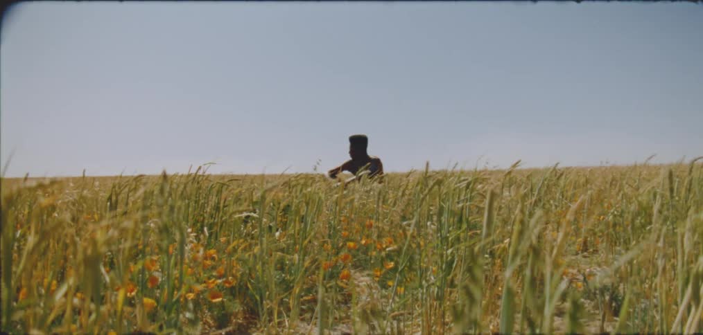 Man sits in fieldstrewn with flowers on windy day