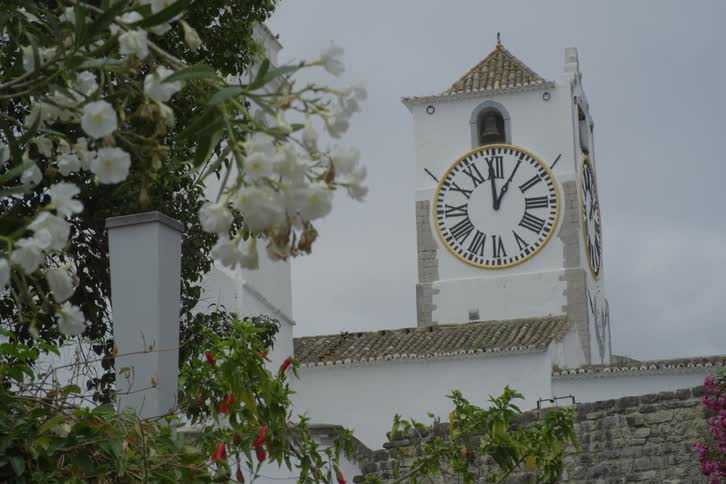 Birds land on roof near clocktower with bell near flowering plants