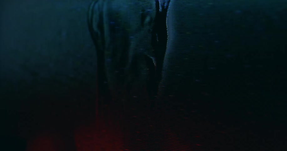 Broadcast signal noise distorts image of person displayed on screen