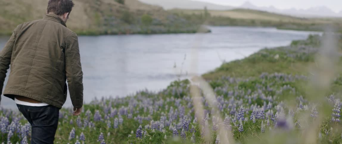 Man is walking in field of purple wildflowers next to river