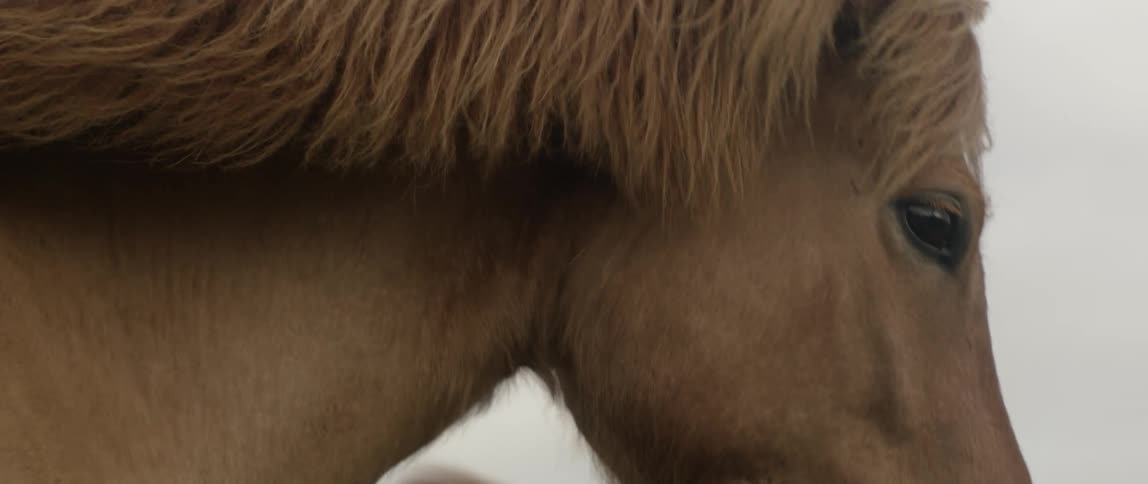 Friends Traveling Around Iceland