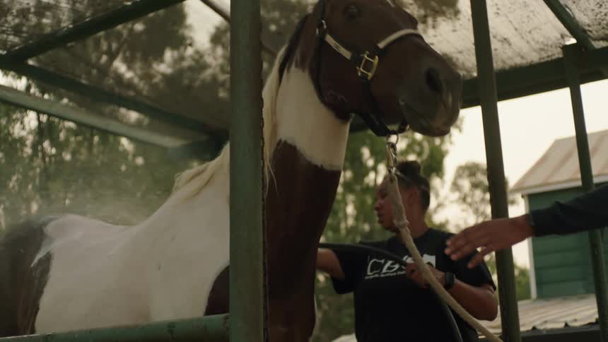 A pair of women use a water hose to wash a horse outdoors in the evening