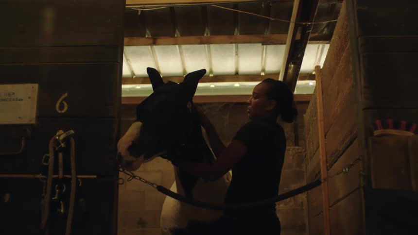 A woman brushes the horse
