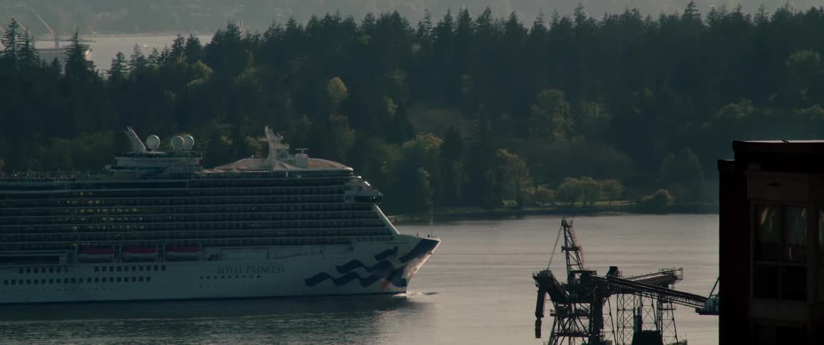 Large cruise ship sailing in the harbor near a forest shoreline