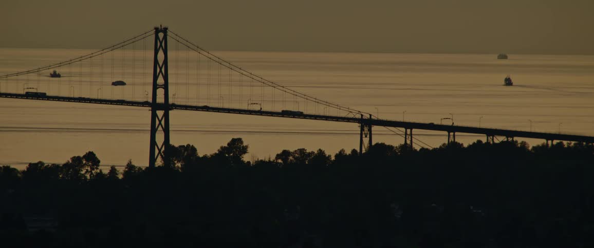 Traffic crosses ocean near silhouetted woods