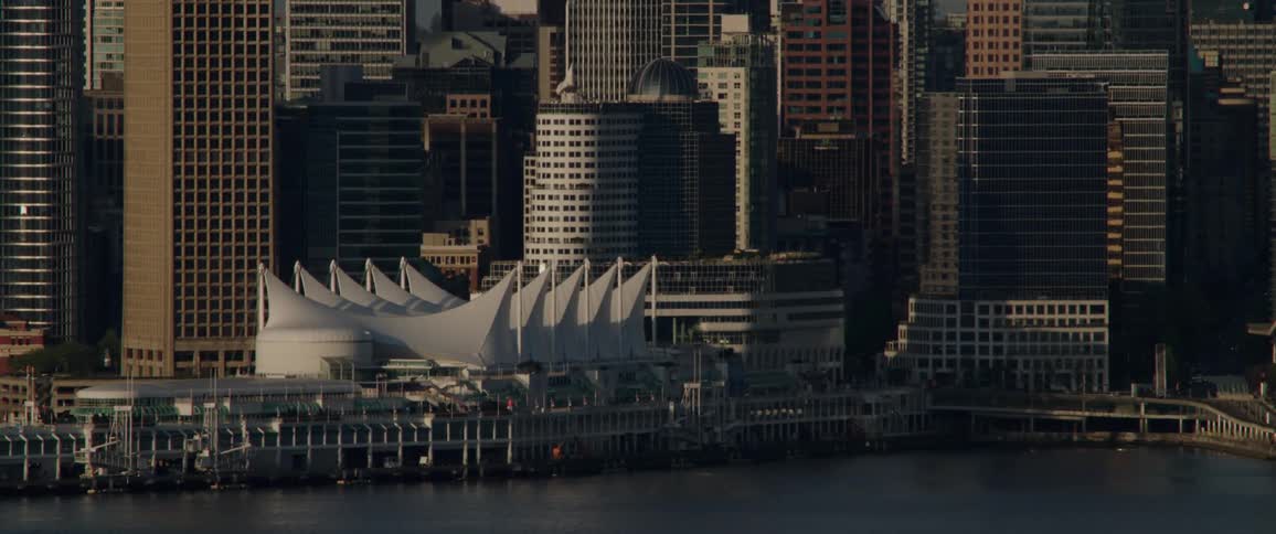 A bird is flying in the sky near a downtown skyline