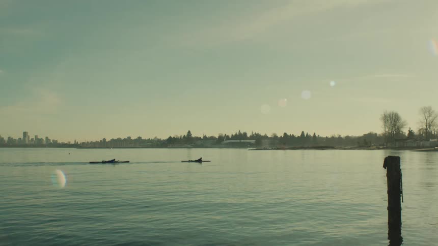 Two paddle boarders float across the bay in early morning