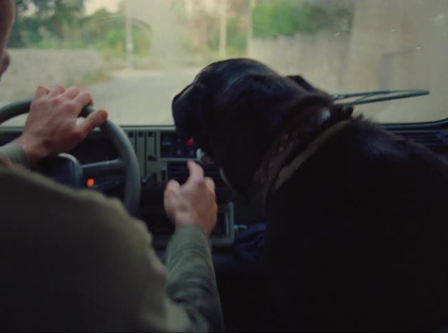 A man pets a dog with his free hand while driving a vehicle