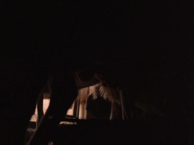 One animal eats while the farmer milks a second animal