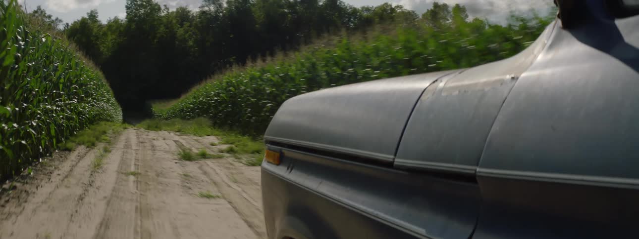 A truck is traveling between corn fields on a farm