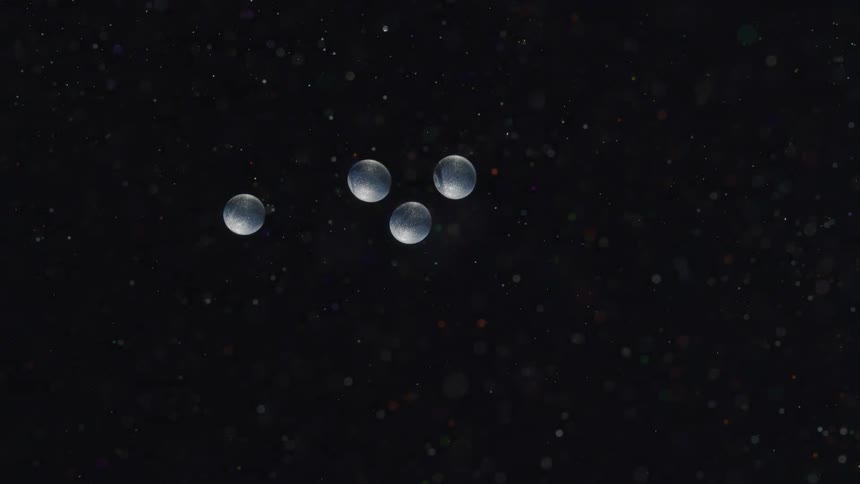 Pale globes float slowly through dotted background like a formation of planets in outer space