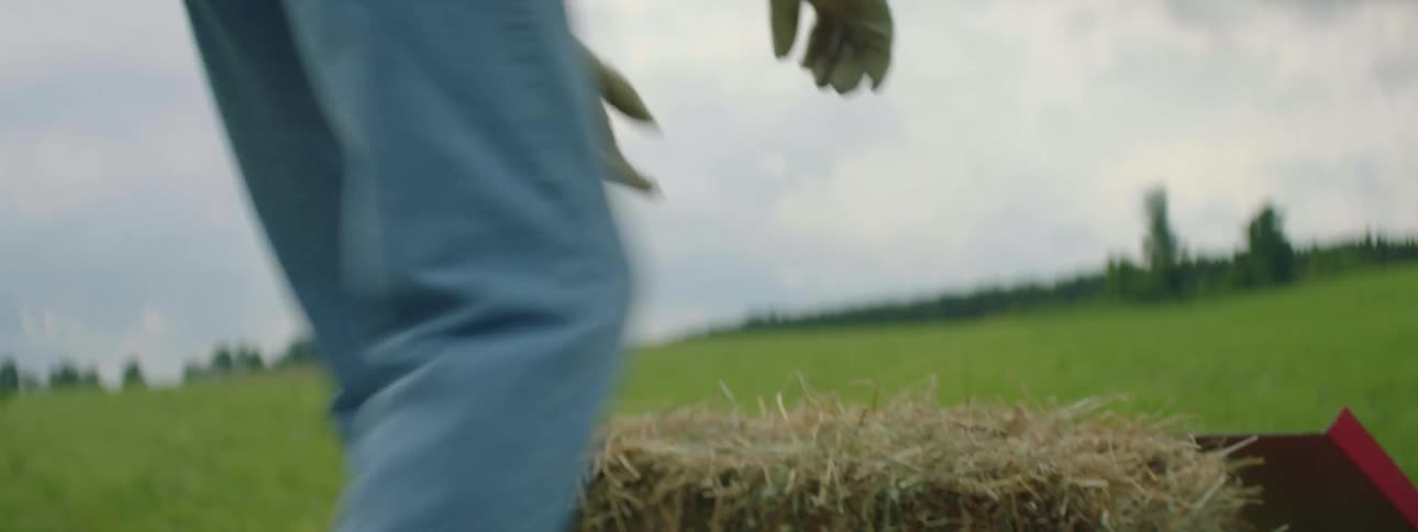 Man moves hay bales near green hills on a cloudy day