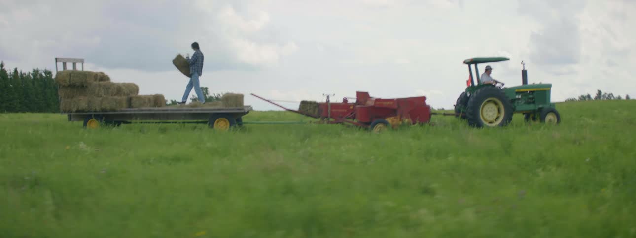 Farm workers harvest an bale haystacks