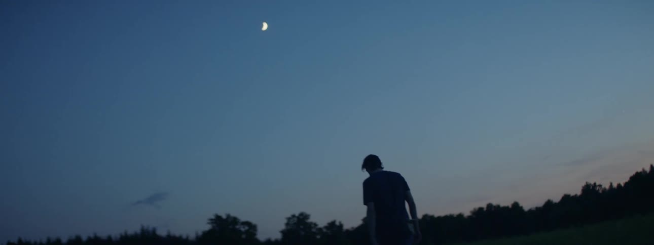 Silhouette of a man walking in a grass field toward a tree line at dusk