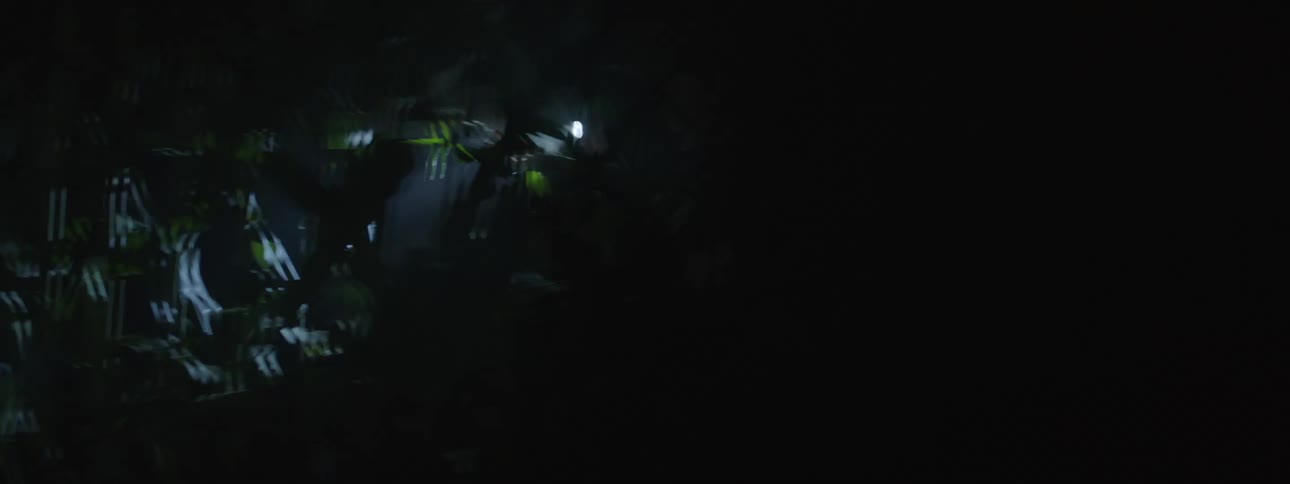 A person is walking through the forest with a flashlight at night