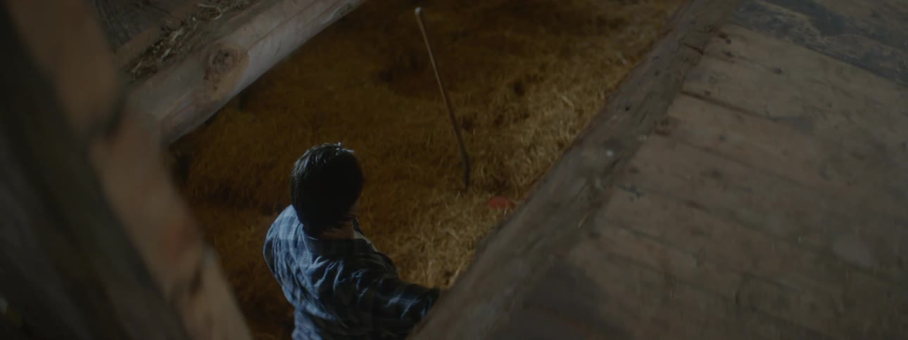 Young man walking down steps in a wood barn and grabbing a tool to move hay