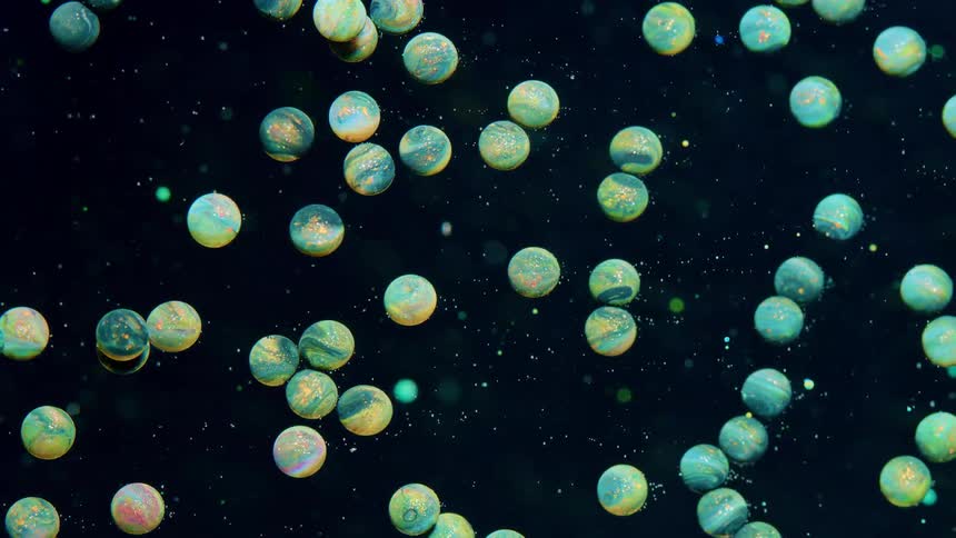 Many multicolored balls float through spotted black mixture