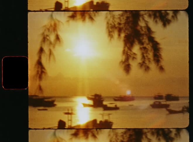 Dozens of small boats sit scattered in the sea