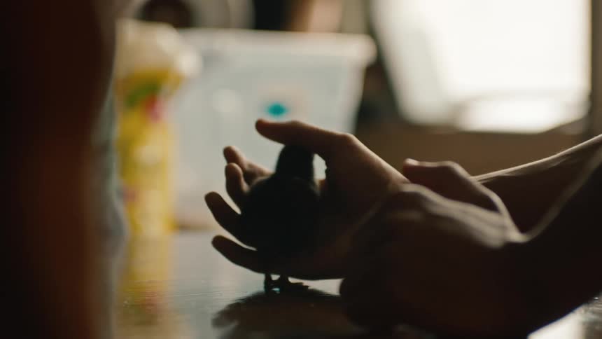 A person strokes a small bird on a table as a child picks another one up