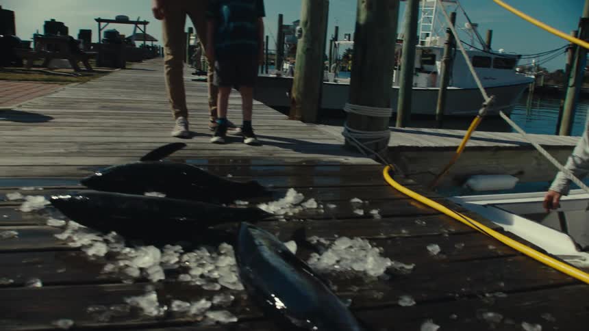 A man stands on a dock with his son and watches a fisherman throw fish off of his boat on to the dock