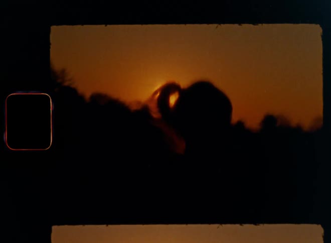 Dynamic handheld 8mm film of woman with healthy lifestyle red headband and ponytail that runs across an open grass field on a path next to a forest with trees and a small village with holiday houses as sun shines from red sky causing vintage lens flare