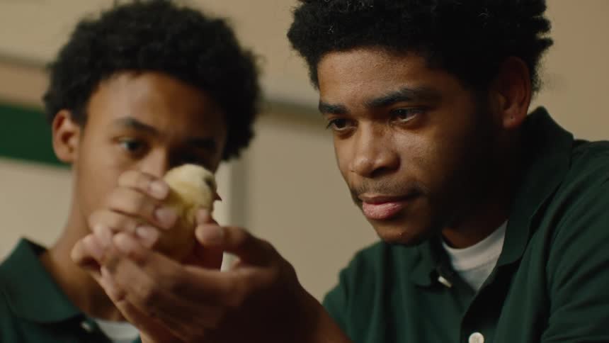 A man gently holding a chick in his hands with a teenager watching beside him