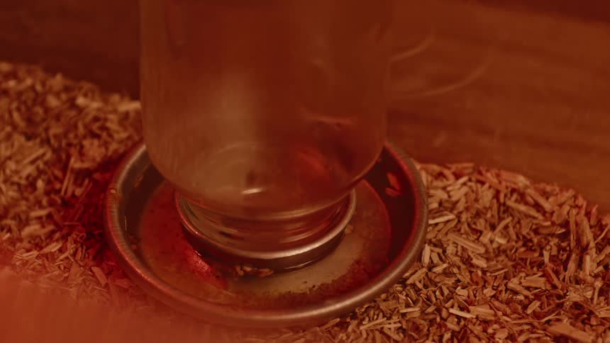 A close up of a bird feeder in a bin with sawdust on the bottom