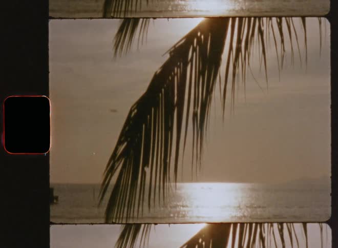 A shimmering ocean at sunset an anchored boat in the water with a palm leaf as the focal point